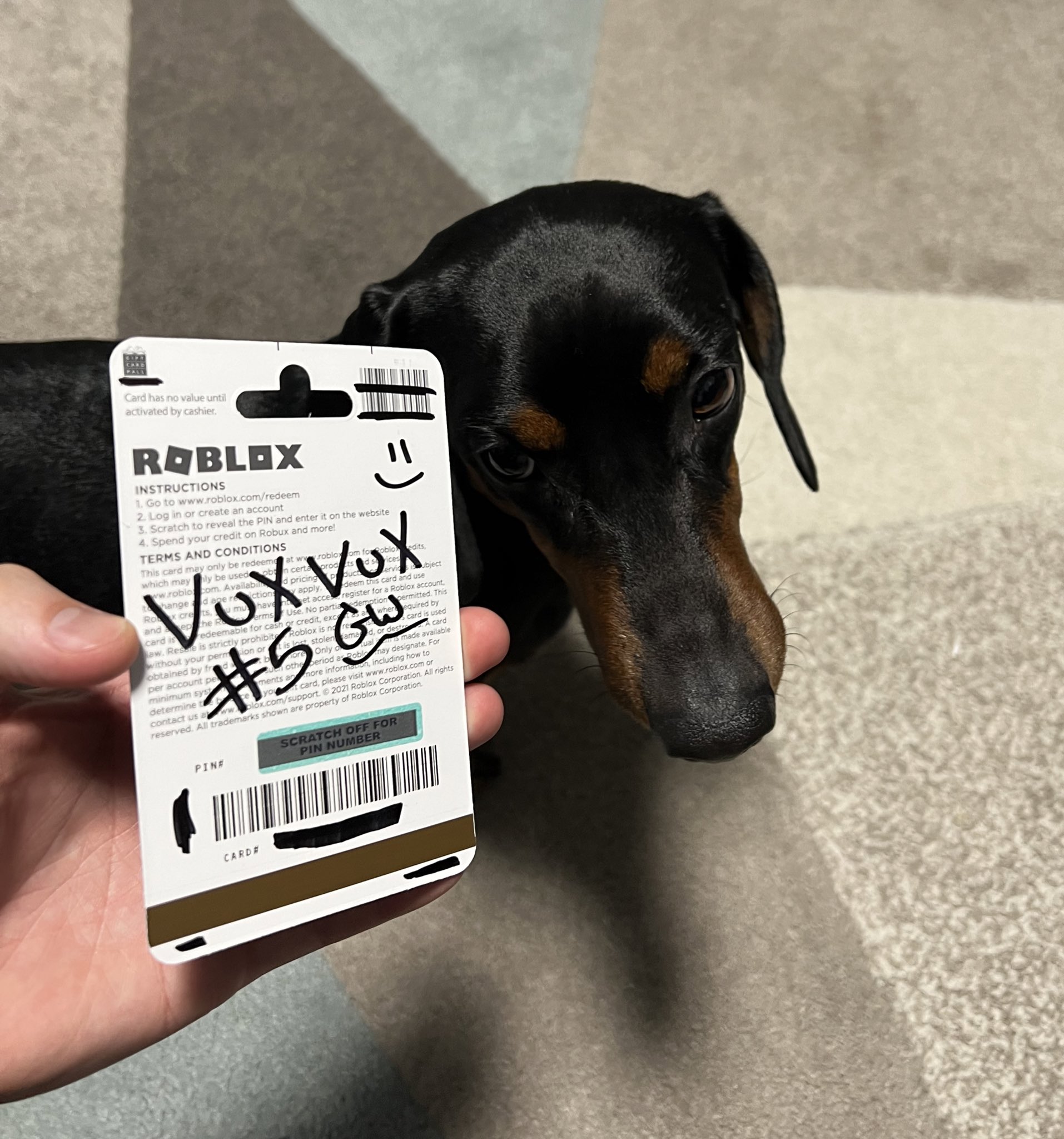VuxVux on X: 10K ROBUX GIVEAWAY! ✓ Follow @VuxxVuxx ❤️ Like/RT Post 🔌  Comment #VuxVux Winner picked in 2 days!  / X