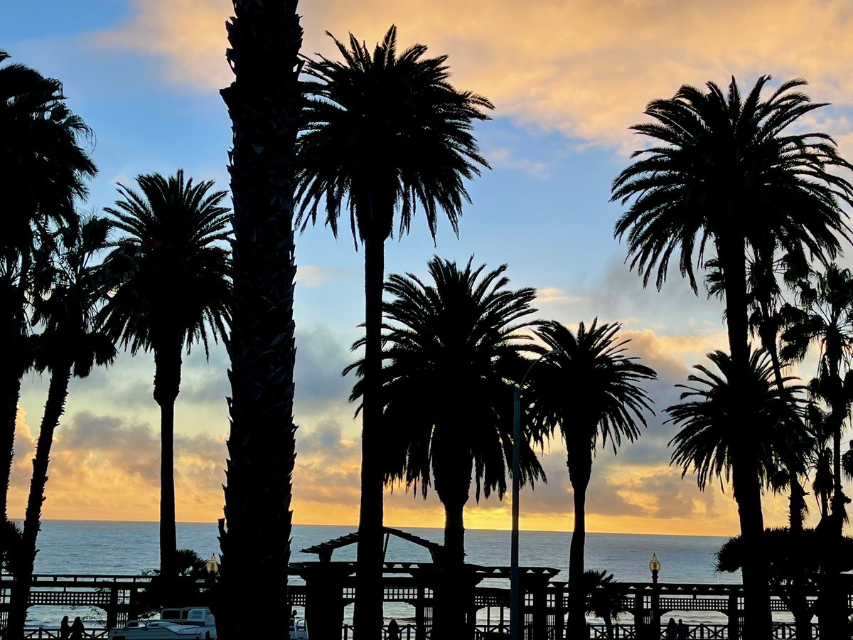 Here comes another Santa Monica Sunset. 

🌴🎡🥂💦

#California #BeachLife #NORADTracksSanta 🎅🏽⛱