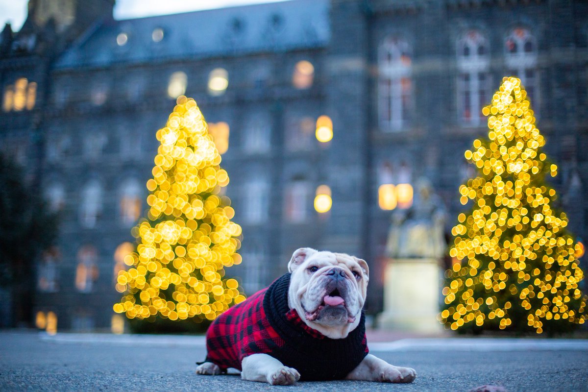 McCourtExecEd's tweet photo. Happy holidays to all members of our exec ed community! https://t.co/RcpQRhvuv5