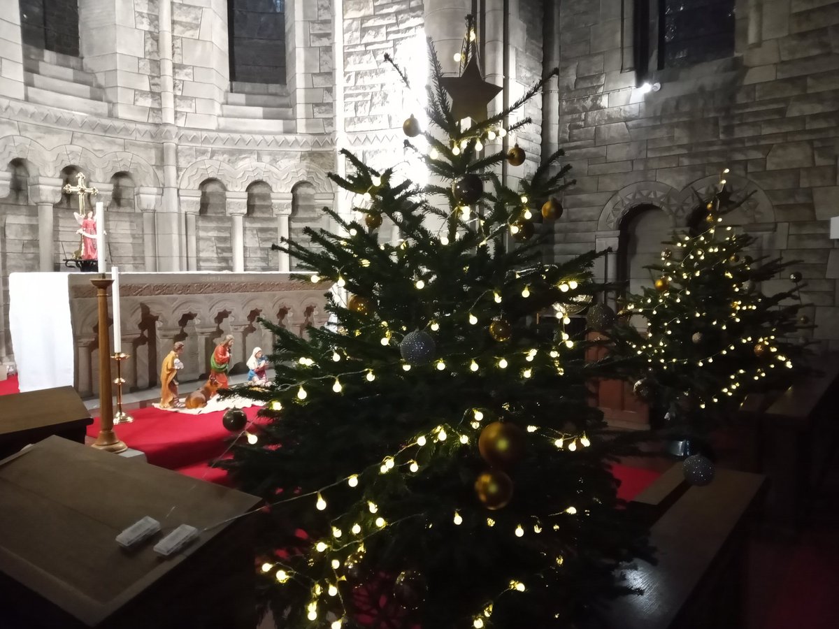 Happy Christmas from Newlands.