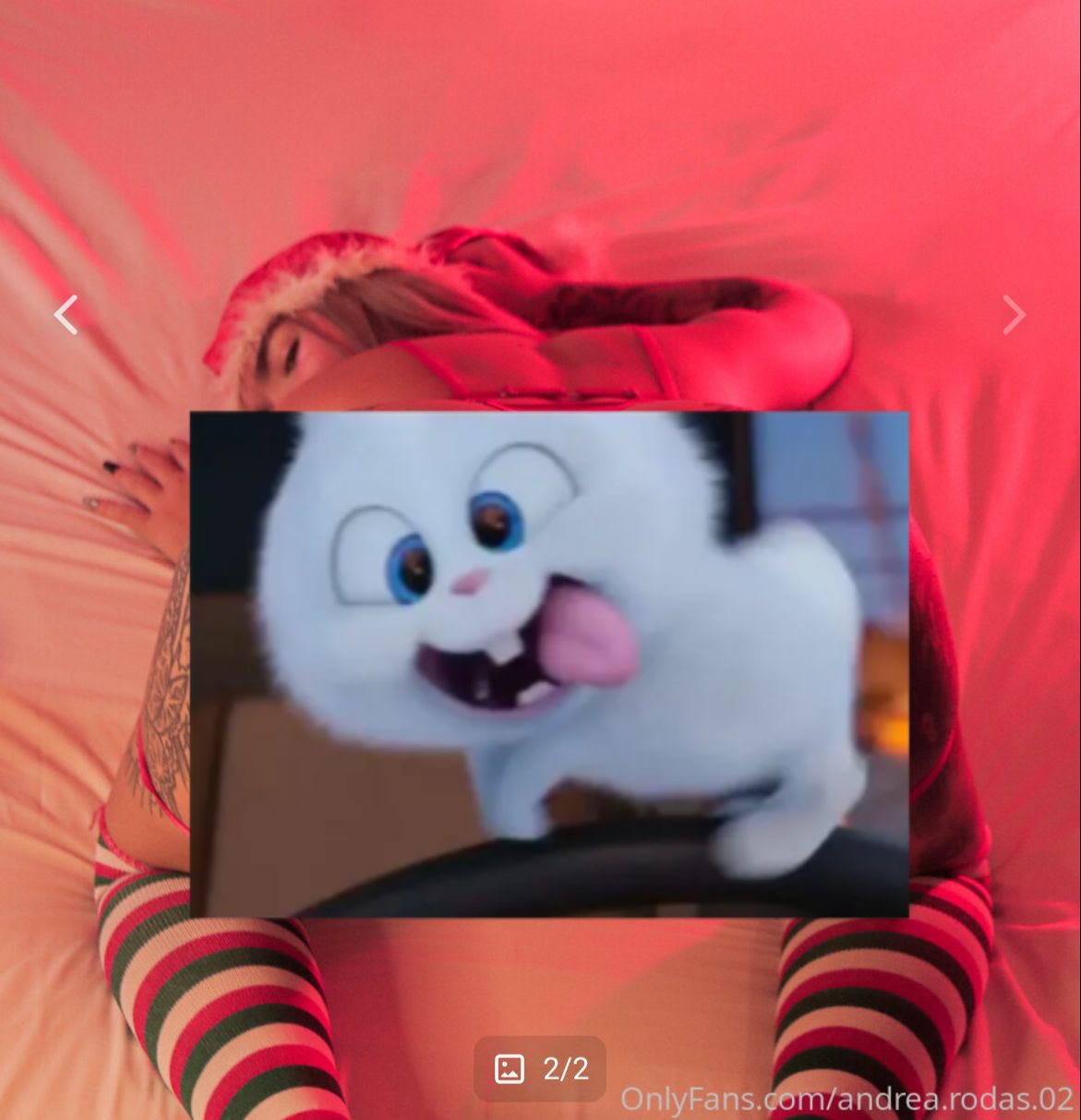 Andrea.rodas.02 on X: t.comg0SSUSKeK 30% off 🎁♥️♥️🔝😍  #V_ChristmasTree #24dicembre #Navidad #Christmas #only  t.corHOrKLUSgk  X