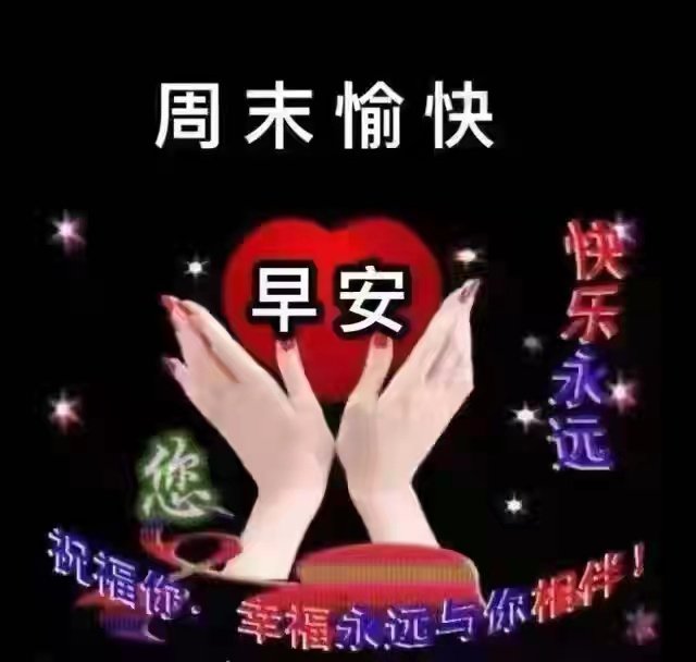 lsl3509's tweet photo. 牵挂中，共度风风雨雨，问候中，伴随平平安安，祝福中，又迎来新的一天，早上好！ https://t.co/WKDj2KI0ek