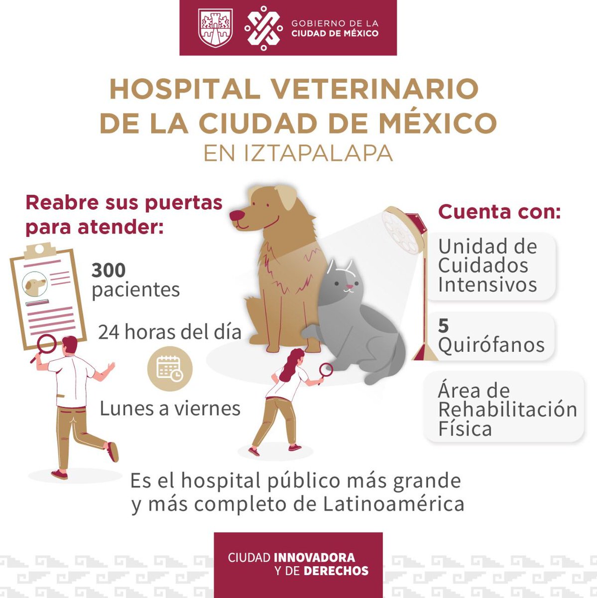 GobCDMX's tweet photo. Al Oriente ha reabierto sus puertas el Hospital Veterinario de la Ciudad de México 🐾.

Mejoramos el sistema de operación y hoy se ofrece una atención de alta calidad a bajo costo.

Consulta toda la información: 👉 https://t.co/bVIzI7pGHK https://t.co/oVOYjuBW2j