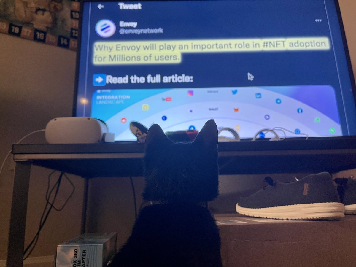 nft_finley's tweet image. .@AltcoinDailyio my cat loves learning about #crypto.