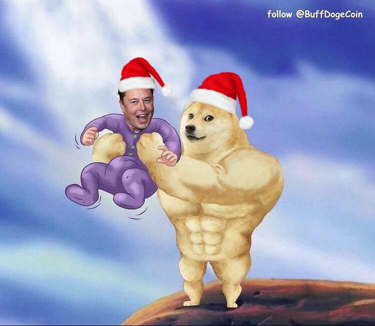 CryptoKojima's tweet photo. I’am @CryptoKojima and @buffdogecoin wishing all crypto community a Merry Christmas, especially my #buffdogecoinarmy and #buffdogefather holders @elonmusk. May the blessings of this Christmas be felt by everyone.

#BuffDoge #BUFFDOGEARMY #Crypto #cryptocurrency #Chrismas2021 https://t.co/SebVd5QBxA