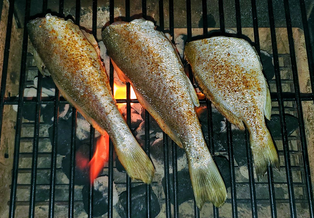 Right now on the grill. Fresh-caught whiting and one pigfish (grunt) that my kids caught. Four more sand trout are going on the fire next. https://t.co/1ucteulD8v