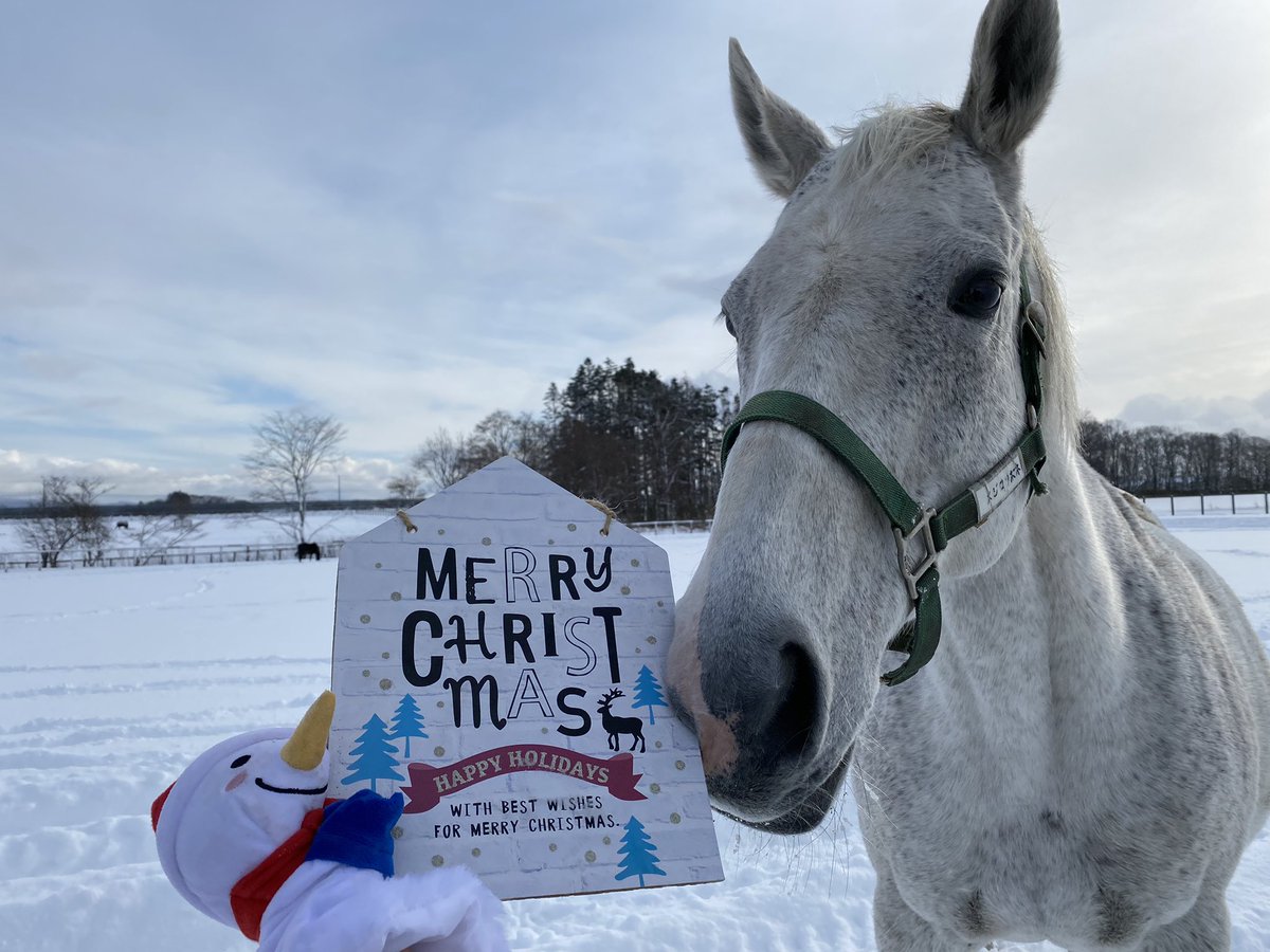 リリアンフェルスちゃん、本当に雰囲気が柔らかくなったなぁ 