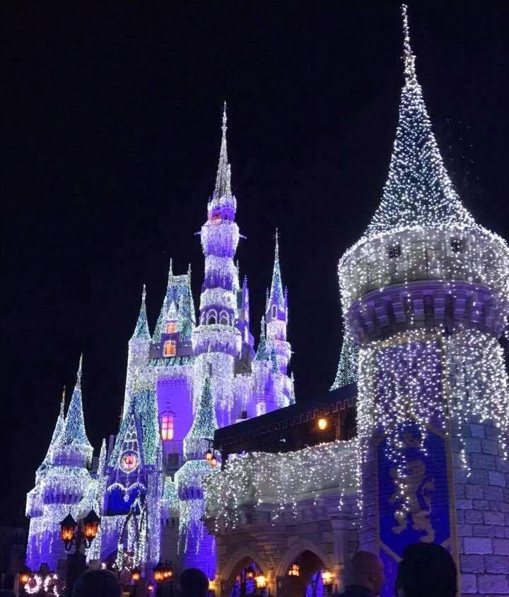 MickeyTips tweet picture