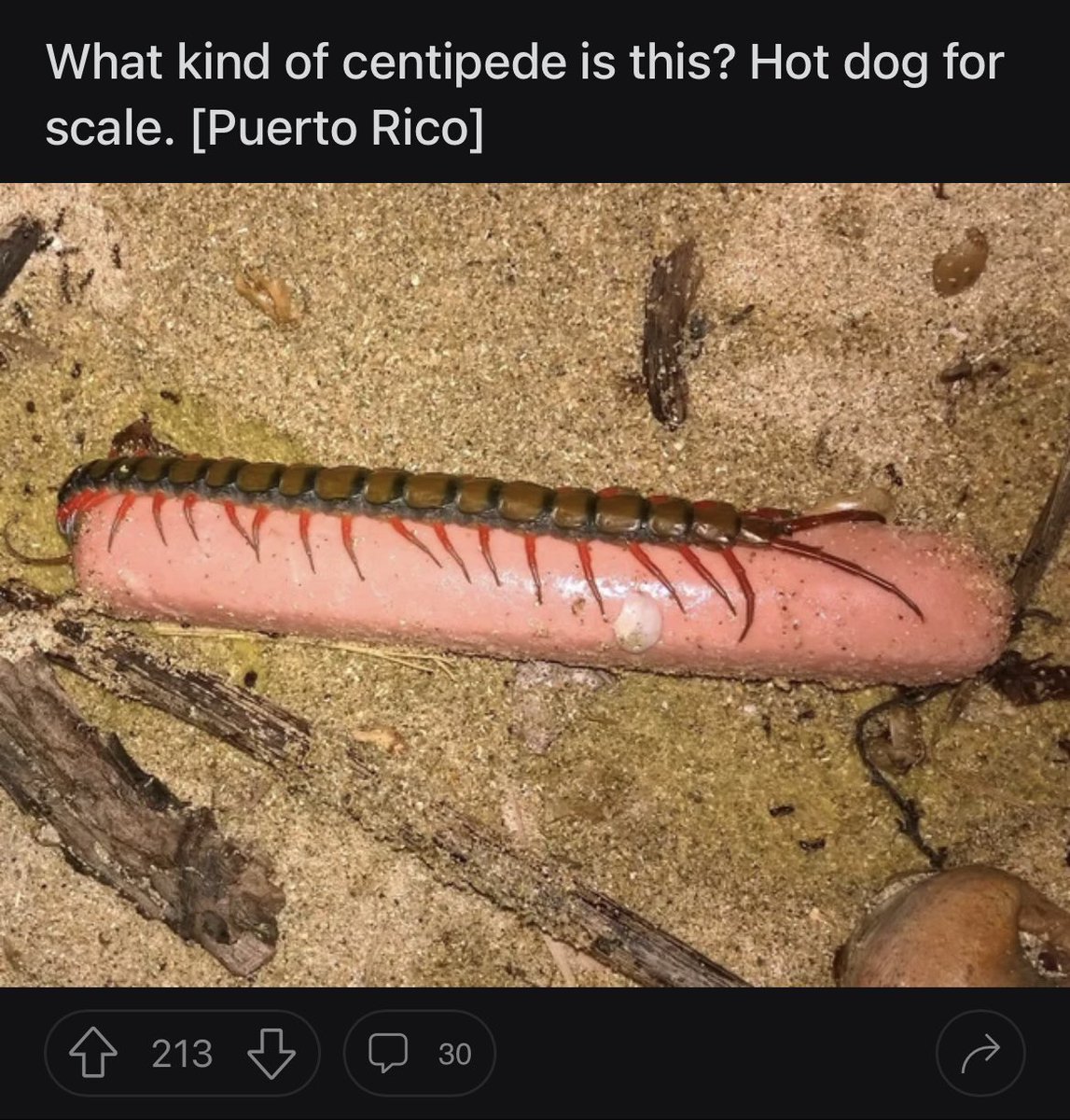 crevicedwelling's tweet image. the only good reddit post ever made