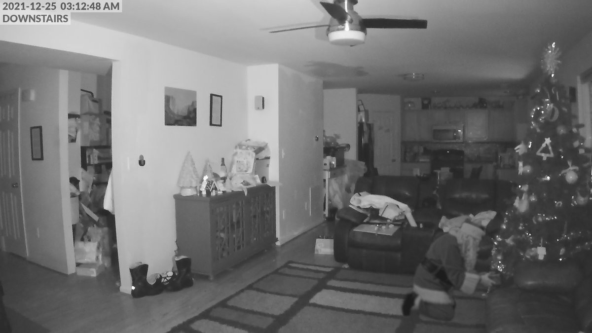 Joey D'Anna tweet media