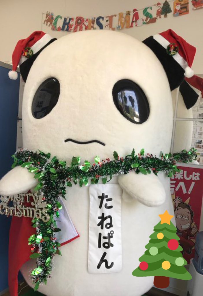 tanepanchan's tweet photo. 💕🎁🎄 MerryX'mas 🎄🎁💕 https://t.co/jgo7m00YAX