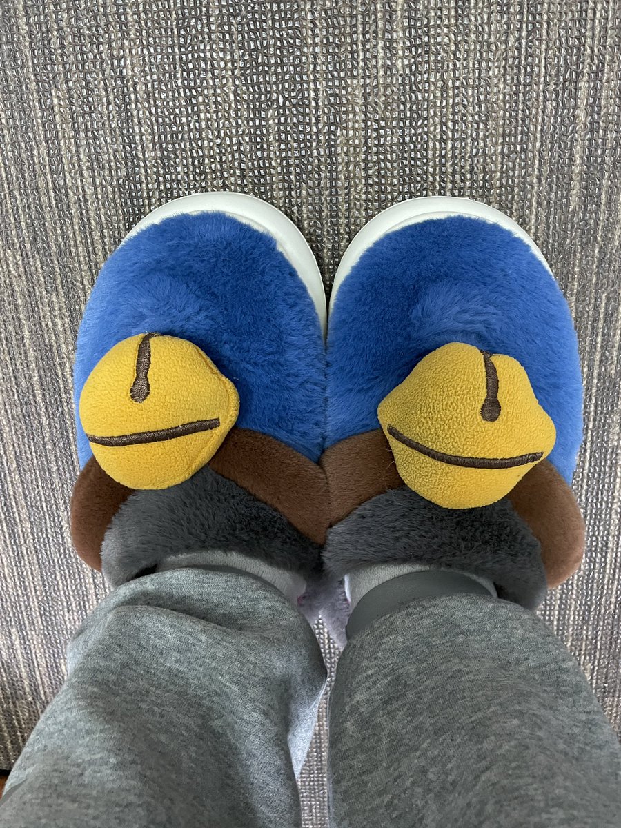 tarotaro17's tweet photo. 妻が会社用にスリッパを買ってくれた。メッチャ暖かくて気に入ってます��、これを履きながら怒りづらい😭スタッフ同士で「さっきドラえもんに怒られた〜」とか言ってそう(〃ω〃) https://t.co/adlwKmBTr6