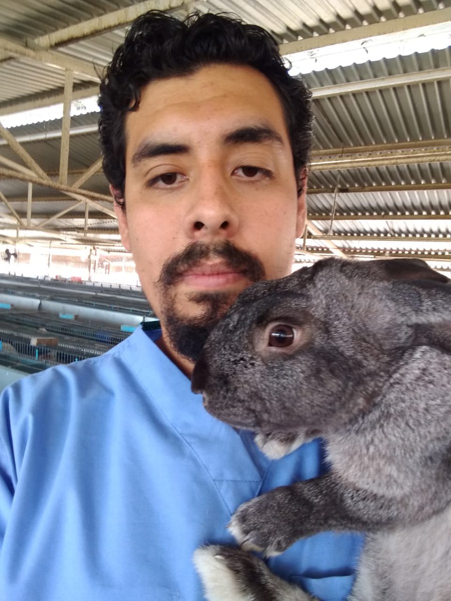 drpokevet's tweet photo. Dr. PokéVet (y el conejo Carbón) les queremos desear a nuestros seguidores una muy feliz navidad, agradeciendo a cada uno de ustedes que me ha seguido y apoyado en este pequeñísimo proyecto de divulgación y entretenimiento. https://t.co/yThvQwFKnO