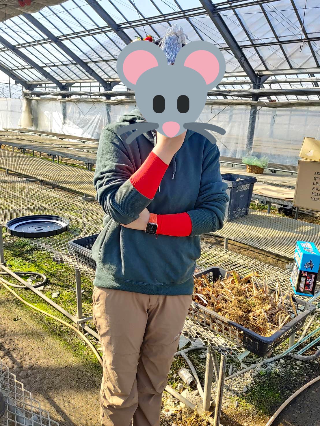 花チョク Twitter Search Twitter
