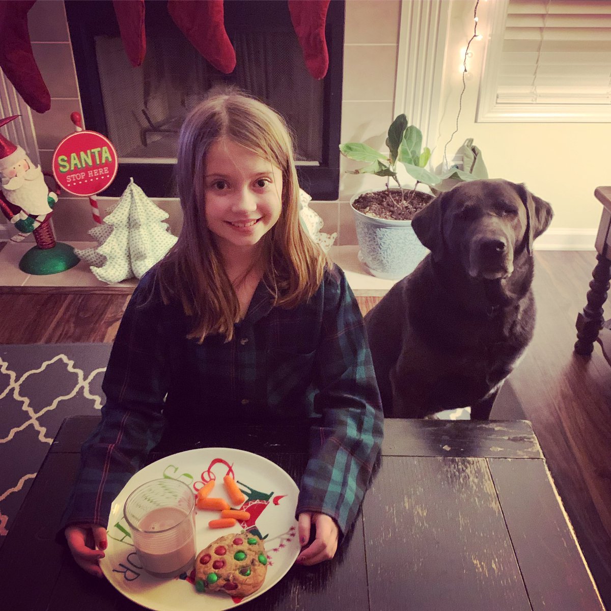 saabisi's tweet photo. Merry Christmas to all and to all a goodnight. #heateacookierightbeforethis #andacarrot https://t.co/g8unyXIS8z