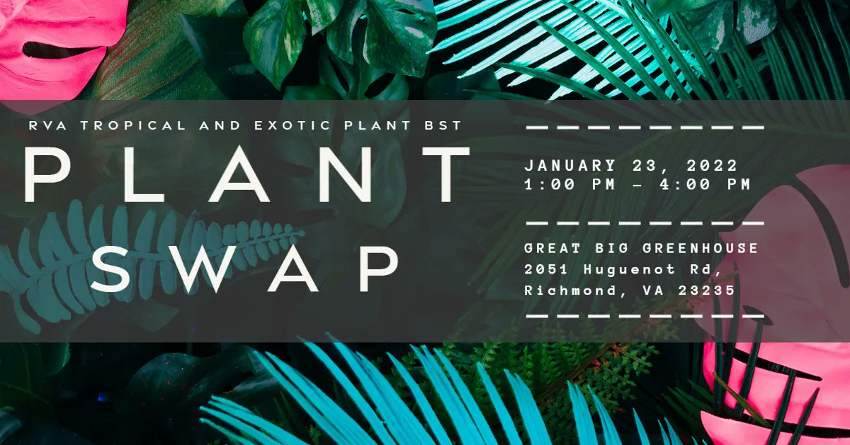 RVAPlantsBST's tweet photo. Come out and see all the plants! #RVA #rvaplantswap #rvahouseplants
#rvaevents https://t.co/erJ3LPDfR2