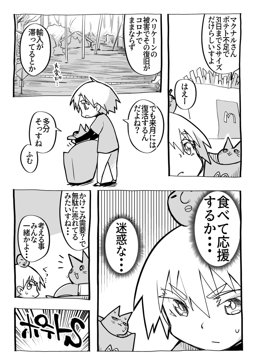 一日マクナルポテトのLサイズを4つ食べると一日に必要なビタミンが接種できるという…
これから我々は一体どうしたら良いんだ……
#マックフライドポテト
#マクナル