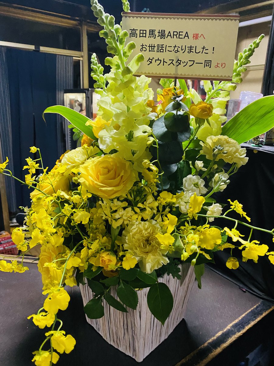 area_baba's tweet photo. AREAにお花を頂きました！！
ありがとうございます！！ https://t.co/aLMhXXSuWY