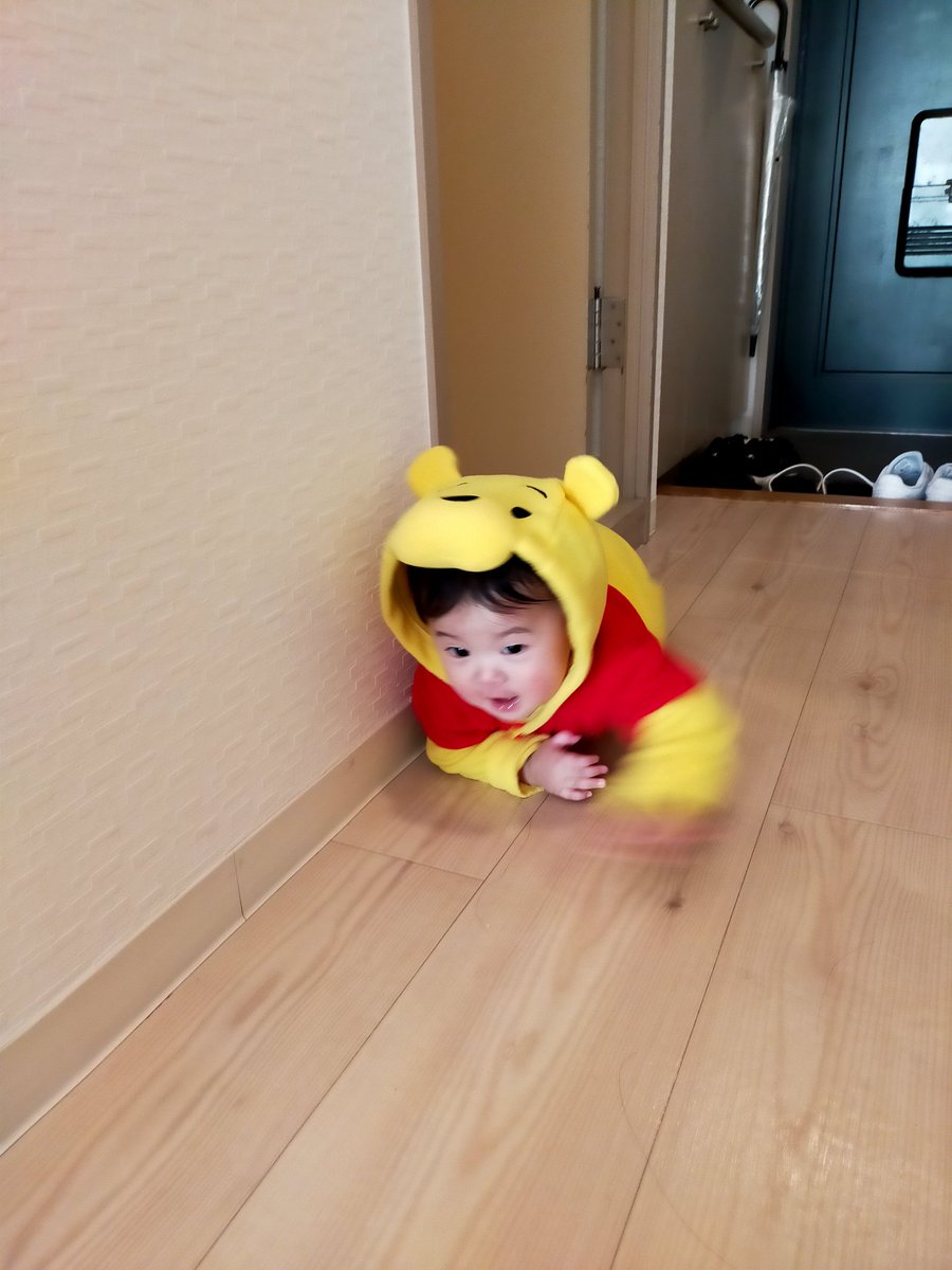 Amazon75523018's tweet image. メリークリスマス🎄✨

丈夫にぐんぐん大きくなりますように(◍•ᴗ•◍)
#生後8ヶ月 #サンタさんへ
#除菌大作戦 #コロナに負けるな 
#日々成長 #すぐ服が小さくなる 
#皇帝  #会長