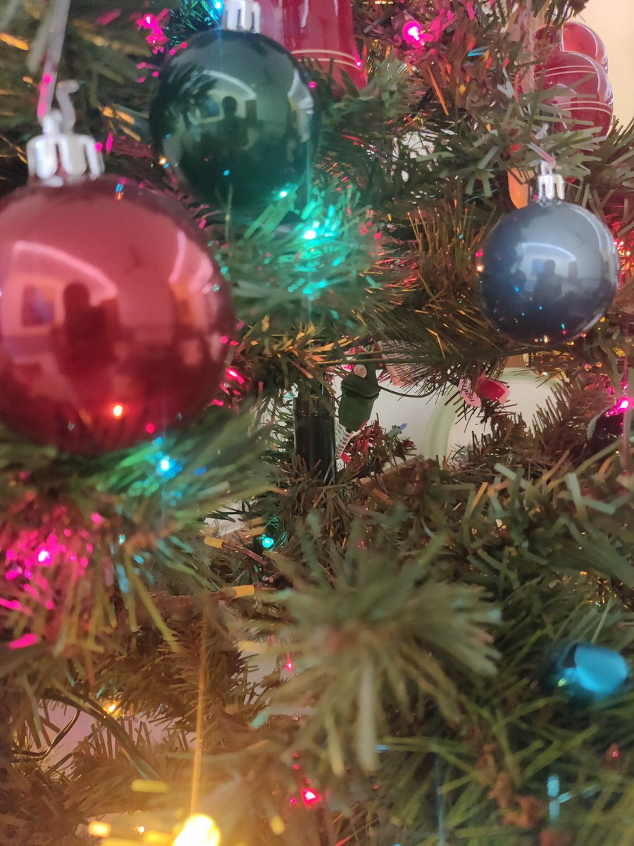 We wish you a Merry Christmas... 🎶🎵