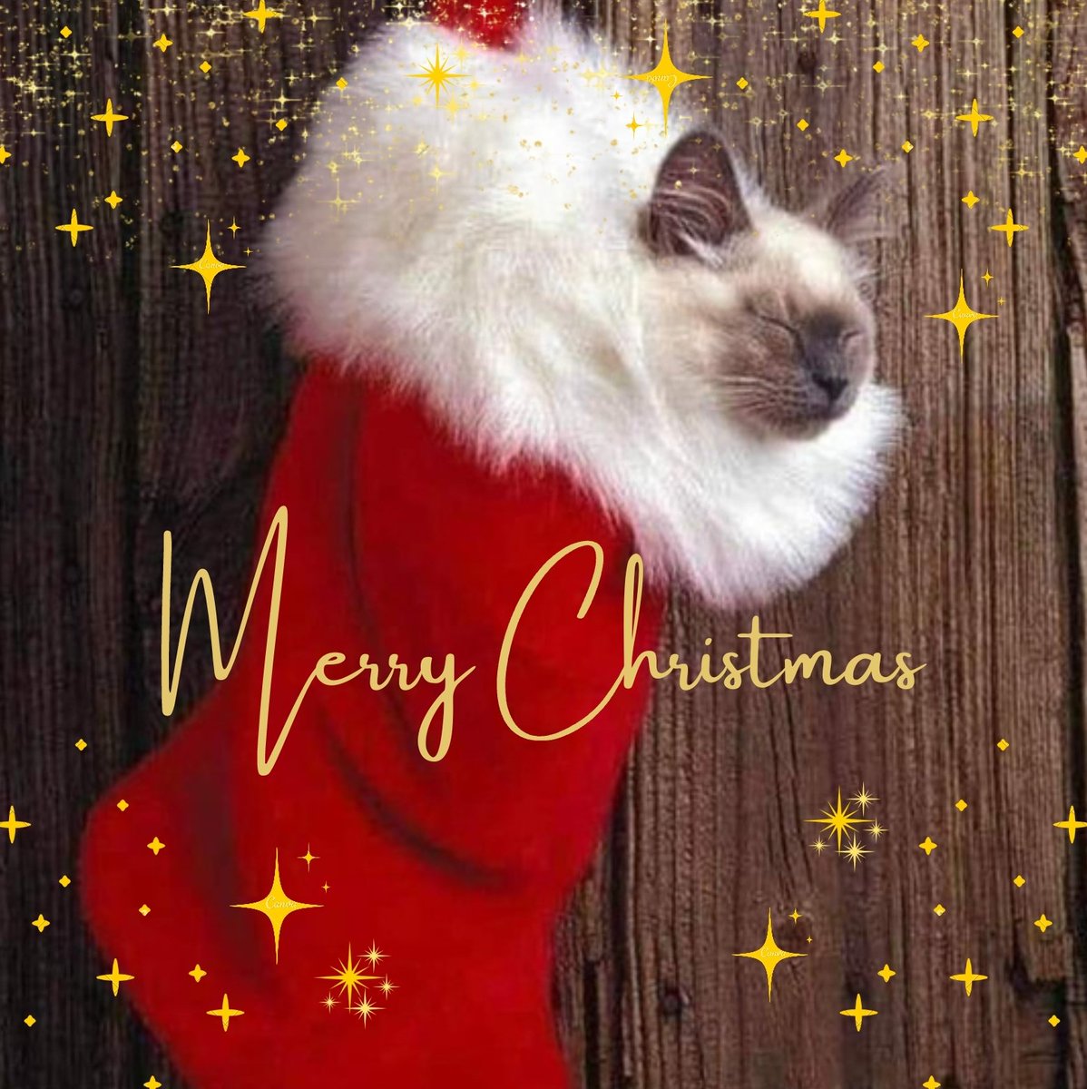 bjschey's tweet photo. Merry Christmas to all! 🎄🎁❄⛄ https://t.co/XHXJkXUkVd