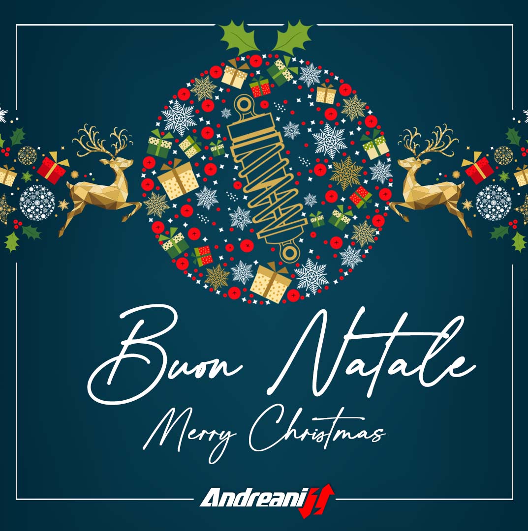 AndreaniGroup's tweet photo. Il team #andreanigroup augura a tutti un Felice e Sereno Natale!🎅🏼🎁 https://t.co/7KuUvB0JBB