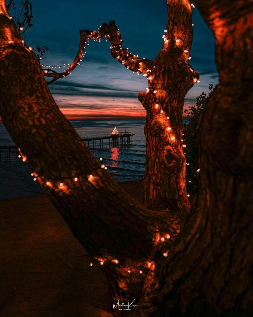 'Twas the night before Christmas..
↯
A festive composition of Scripps Pier brought to you by <a href="/sublimef8/">Martin Kane</a>!
↯
Want your photo featured? Simply follow us <a href="/SanDiegoPhotos/">San Diego Photos</a> and tag your San Diego Photos with #MySDPhoto!
#SanDiego #MySDPhoto instagr.am/p/CX5SX-aLzaA/