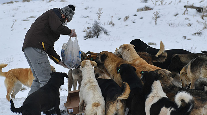 BirGun_Gazetesi's tweet photo. Sahipleri tarafından saldırganlaştırılan pitbull cinsi iki köpeğin bir çocuğa saldırmasının ardından gelen açıklamalar tepki çekti

"Sırf çene kasları güçlü diye alıkonuluyor. Daha yavruyken vahşet eğitiminden geçiriliyorlar"

Hayvan kıyımı çözüm değil!
https://t.co/N0C2j95EgA https://t.co/xVkhg58gMO