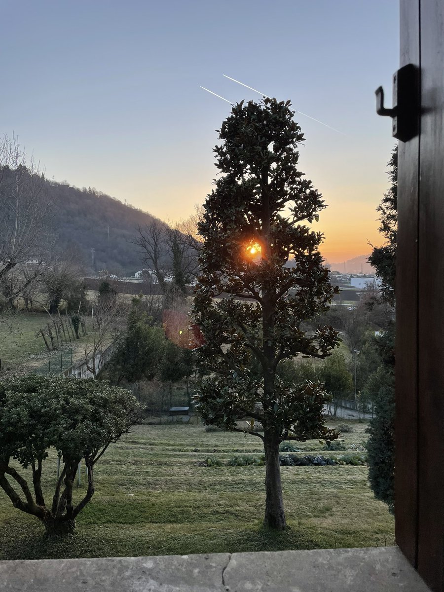 EliodoraD's tweet photo. Luce nuova, luce del mondo https://t.co/m4JhWf0lag