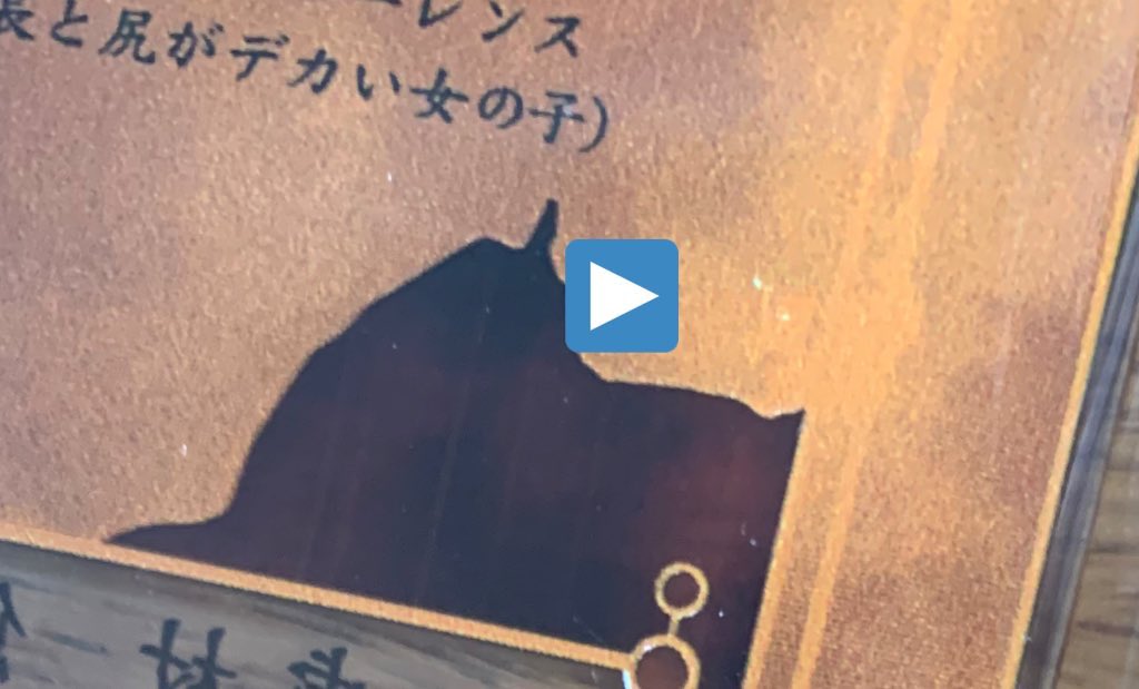 sasamisantori's tweet photo. 呪術廻戦 交換 譲渡 ステータスカード ステカ

譲)画像1枚目

求)定価+送料 or 五条>伏黒恵>甚爾

譲渡の際
1段目→🔵>🧡同数お迎え
2段目→🔵>🧡含む方優先

交換の際
1段目は五条か伏黒と交換

⭐️プロカ上部に必読箇所ございます
(虎杖若干汚れ？がついております) https://t.co/8BVTkoxQQZ