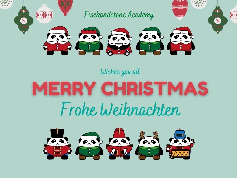 fischandstone's tweet photo. Merry Christmas 🎄
Shine bright!! https://t.co/U8UyH0lzBn