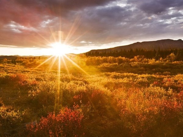 ..
لا تكن سبب في اذية الناس او كسر قلوبهم وخواطرهم أو قطع رزقهم . 
ترى الدنيا تدور

#صباح_الخير