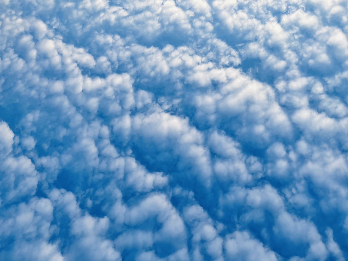 mongchooo's tweet image. Croissant cloud