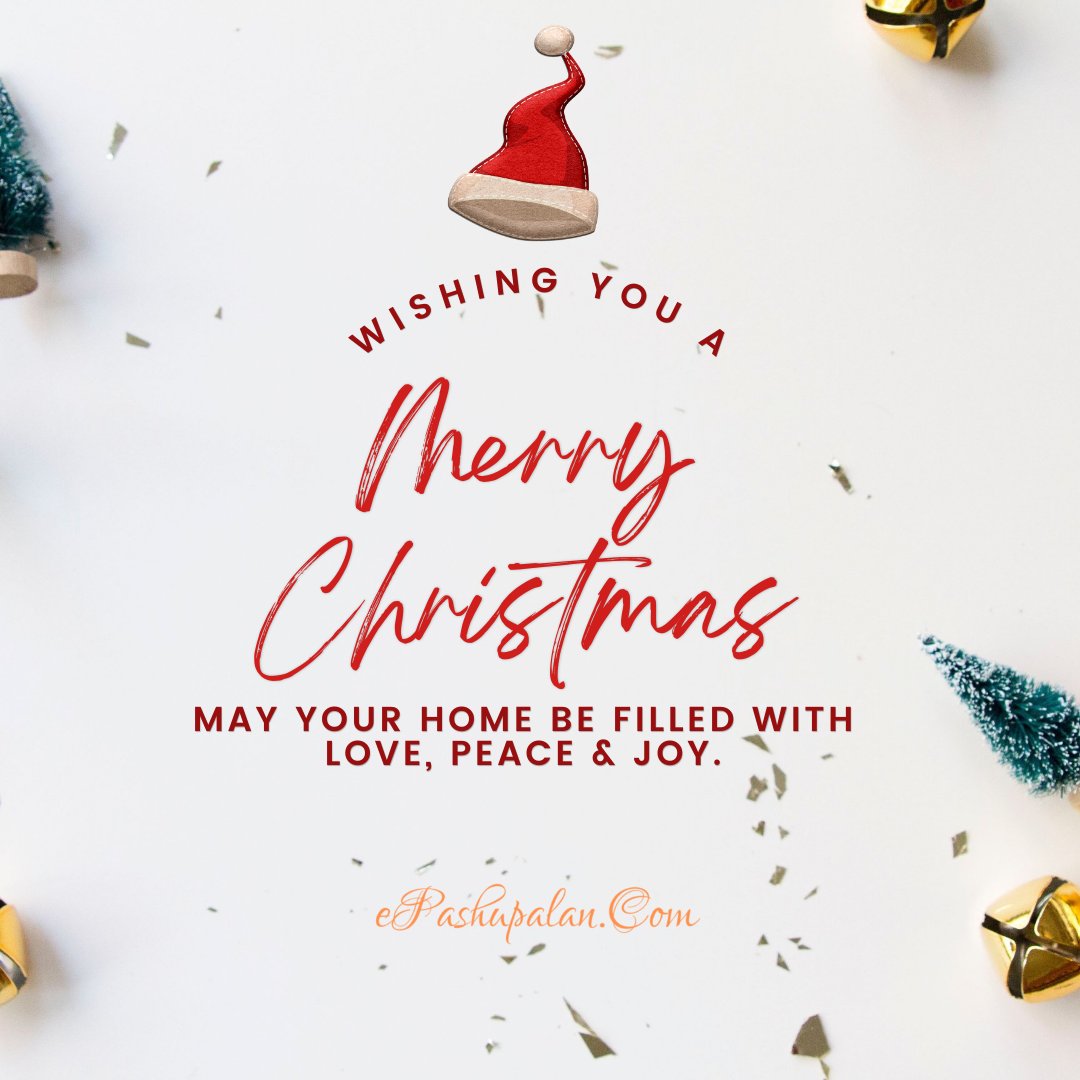 epashupalan's tweet image. Wishing you and your family health, happiness, peace and prosperity this Christmas and in the coming New Year #MerryChristmas #Christmas2020