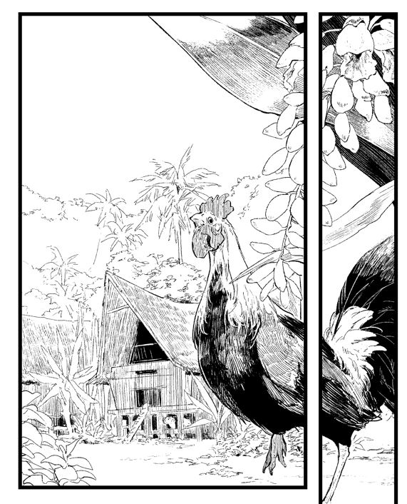 こっそり描いてる奄美自生の植物(の一部)。キバナノセッコク、ゲットウ、ヒカゲヘゴ、ツルラン。 