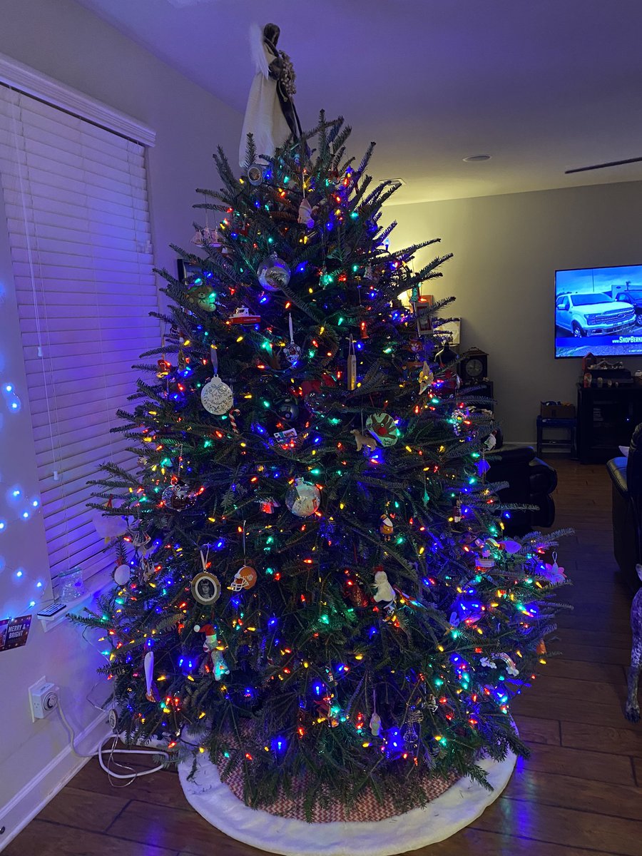 heypeterman03's tweet photo. @notthefakeSVP It was the best tree we’ve had. Too bad it just got punted outside. Thanks a lot aphid infestation… #littlefull #ofbugs https://t.co/wuYHfv9XSu