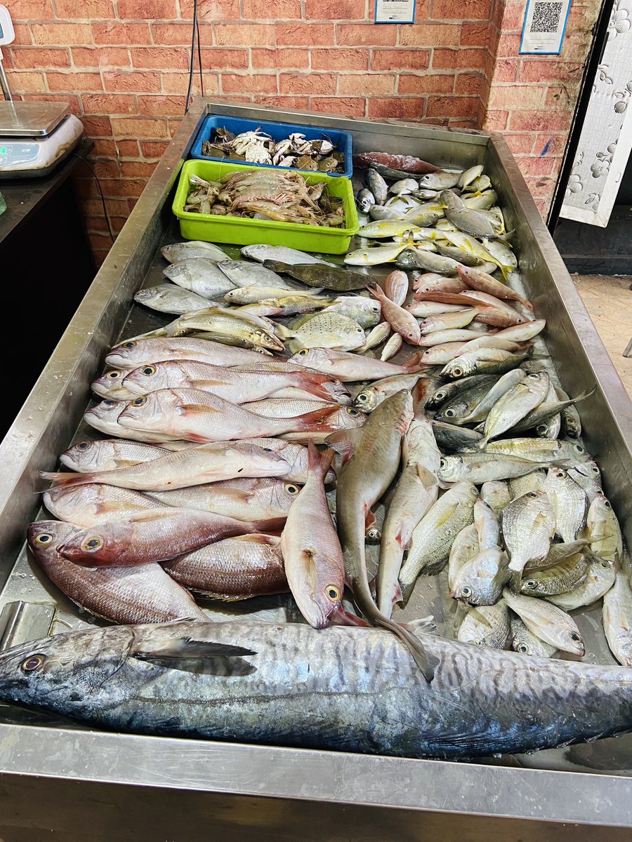 StoreIfish's tweet photo. Merry Christmas 🎄 Fresh First-class quality Fishes Prawns Crabs just arrived our Store 🦐🦀🐟 #vanjiram #sankara #prawns #crab #seafish now available @StoreIfish https://t.co/Rp585jb3Fr