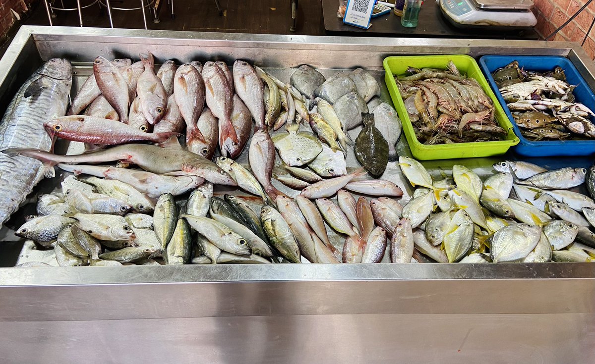 StoreIfish's tweet photo. Merry Christmas 🎄 Fresh First-class quality Fishes Prawns Crabs just arrived our Store 🦐🦀🐟 #vanjiram #sankara #prawns #crab #seafish now available @StoreIfish https://t.co/Rp585jb3Fr