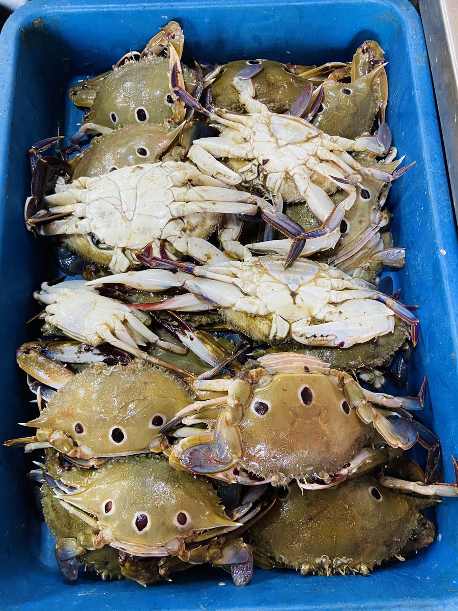StoreIfish's tweet photo. #seaprawns #crab https://t.co/kWfy8FzpnS