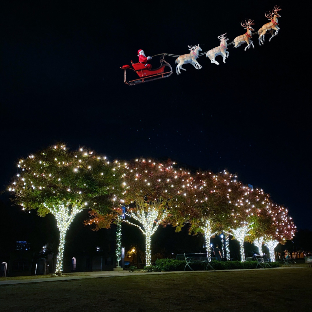 He sprang to his sleigh, to his team gave a whistle, and away they all flew right through Uptown like the down of a thistle. But I heard him exclaim as he drove out of sight, "Merry Christmas to all and all a Good Night!” 🎄