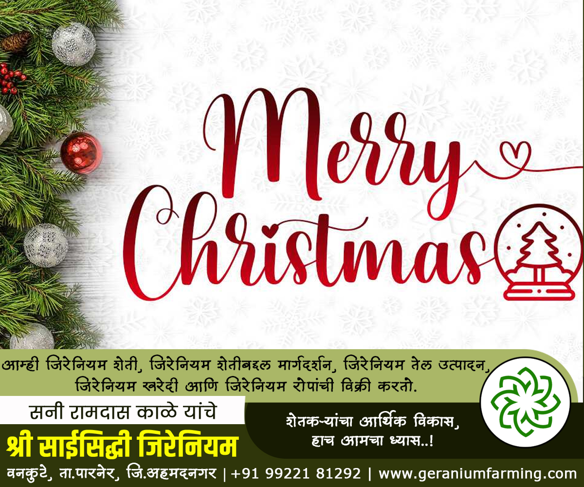 GeraniumFarming's tweet photo. #Merry_Christmas https://t.co/VSECSSgyR6