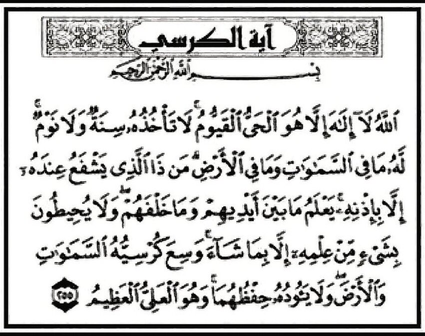 رتويت واجعلها صدقه جارية لك يفرح بها قلبك يوم الحشر 🌸