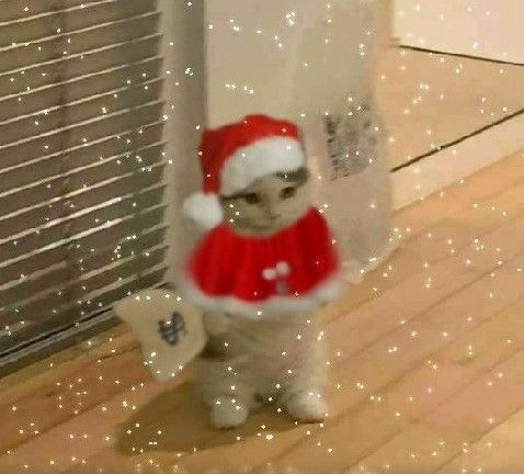 ReysWrites's tweet photo. Feliz Navidaaaah gentesita hermosisimaaa, que coman mucho mucho y lo celebren con sus seres queridos, los tkm 💕✨✨✨ https://t.co/POjRARy6EC