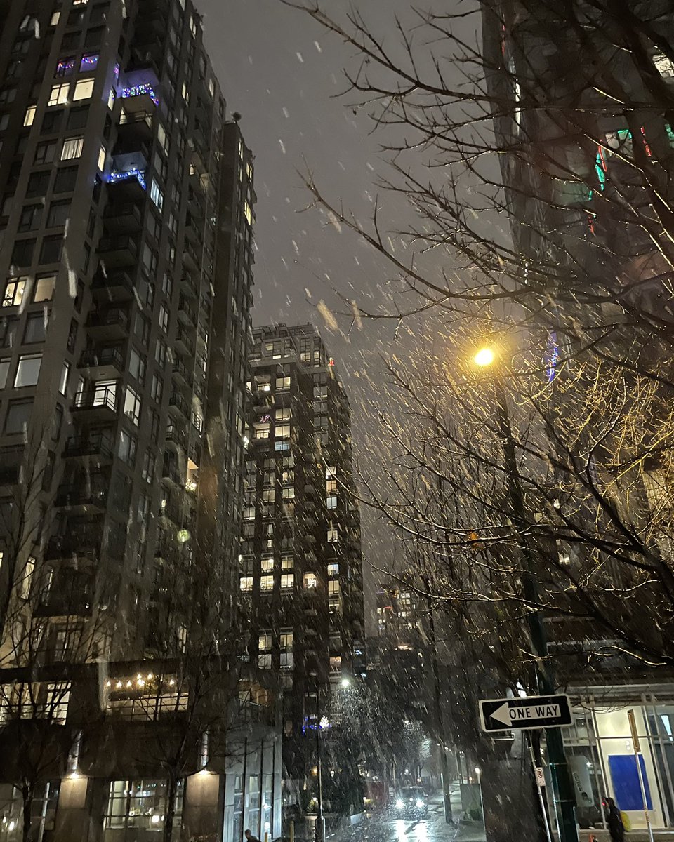 Womanwhovotes's tweet photo. It’s beginning to look a lot like Christmas - it’s snowing in downtown #Vancouver #WhiteChristmas  #BeKindBeCalmBeSafe https://t.co/dlqRd3tqse