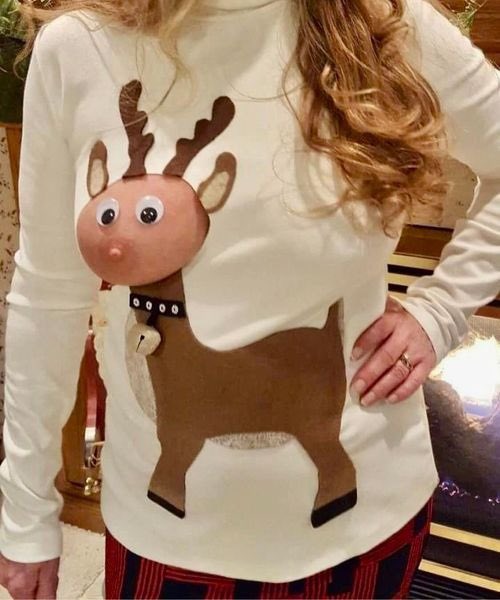 I found my wife a new Christmas sweater lol
