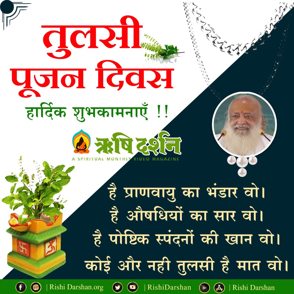 bharadwaj10000's tweet photo. Sant Shri Asharamji Bapu द्वारा प्रेरित Tulsi Pujan Diwas हमें भारतीय संस्कृति की महिमा जानने का एक अवसर देता है, भगवान शिव कहते हैं, तुलसी सभी कामनाओं को पूर्ण करने वाली है l 
Happy Tulsi Pujan Diwas
#तुलसी_पूजन_दिवस_की_बधाई #TulsiPujanDiwas #तुलसी_पूजन_दिवस_की_बधाई https://t.co/t8jat6M63U