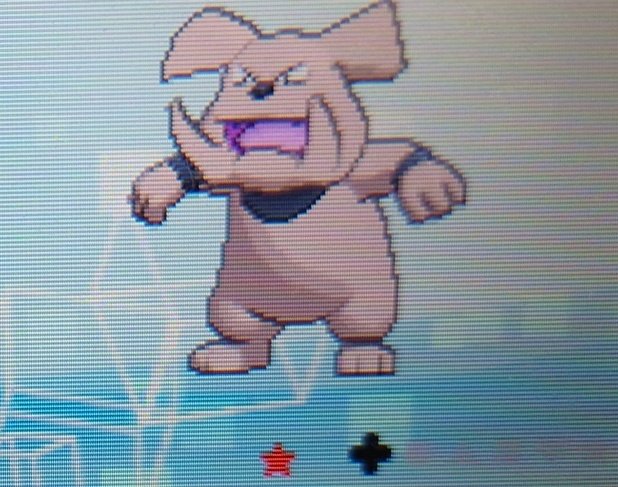 立野テオ Igel ダイパリメイクの波に乗ってポケモンムーンを初期化して始めたけど Gtsで色違いニンフィア 厳選の余り形跡有り もらって レベ上げ中にグランブル色違い出たんやけど グランブルは いらない Gts出そうかな 欲しい人とかいる 特性 威嚇