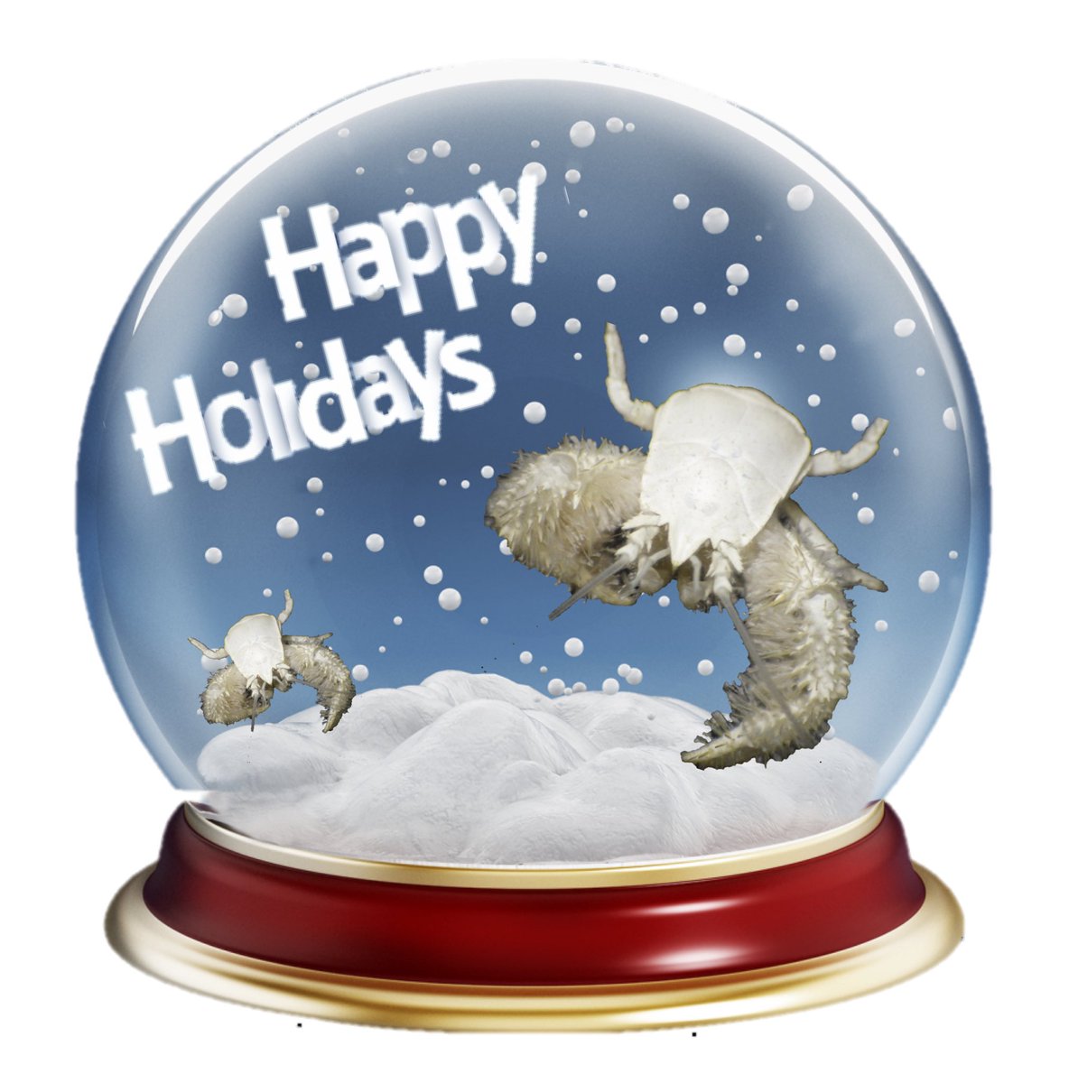 Shana Goffredi (@symbioxys) on Twitter photo 