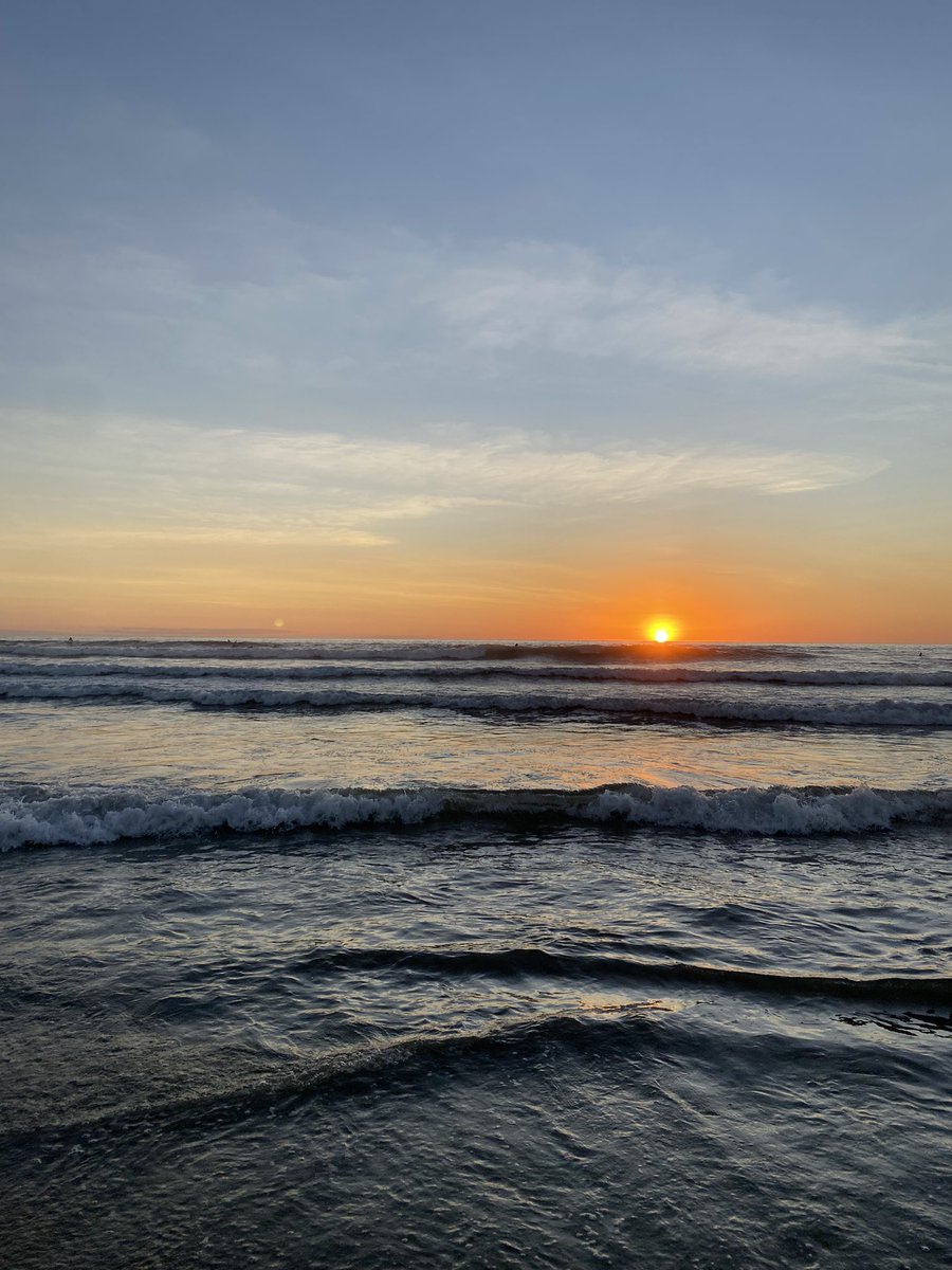 Todd Herold tweet media