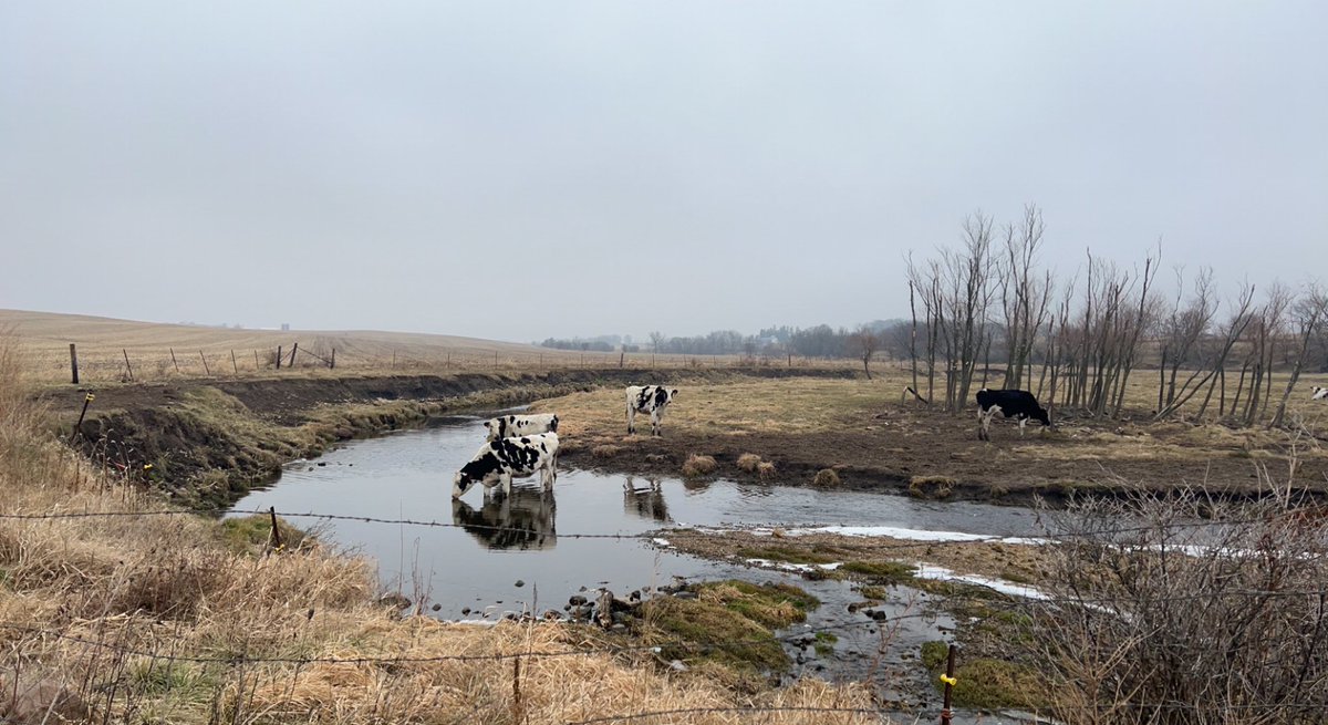 H2O_Soni's tweet photo. Pics from one of my undergrads #JamesSinger who is visiting Wisconsin. Here is a what he wrote
-felt like I was on a field trip & on a lesson straight out of class! I thought of you when I was talking w/ farmer...#waterquality #PradhanangLab @universityofri @URI_GEO @uricels https://t.co/t8ko7ozQAP
